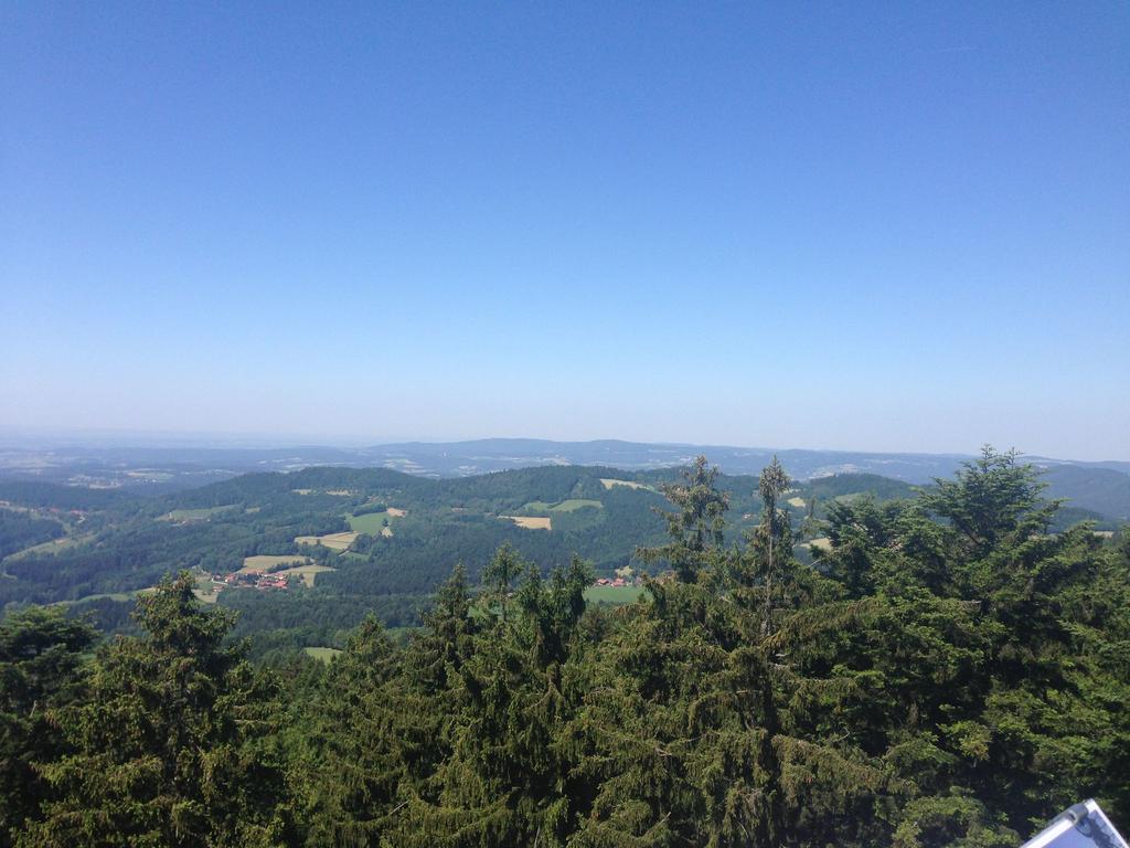 Holiday Flat With Swimming Pool In Prackenbach Viechtach Exteriér fotografie
